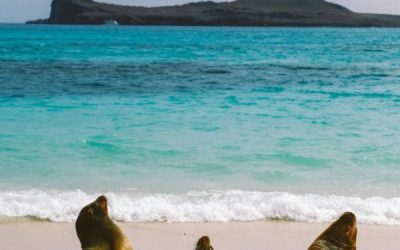 Guaranteeing Unforgettable Experiences